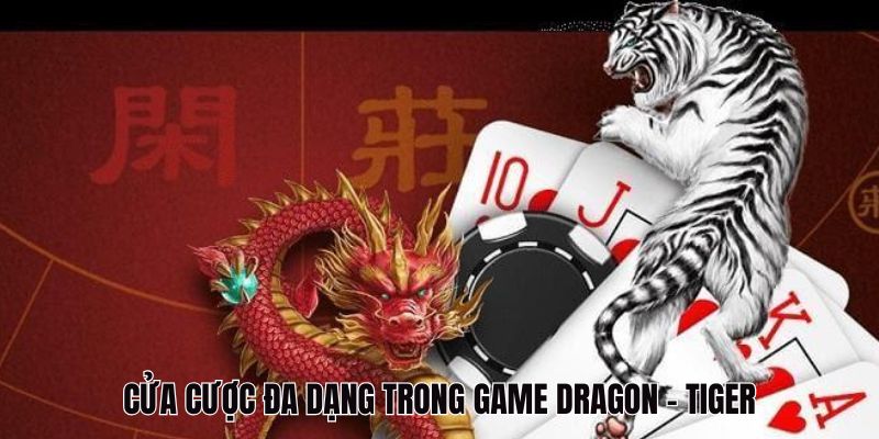 Trải nghiệm cửa cược đa dạng trong game DR88 rồng hổ