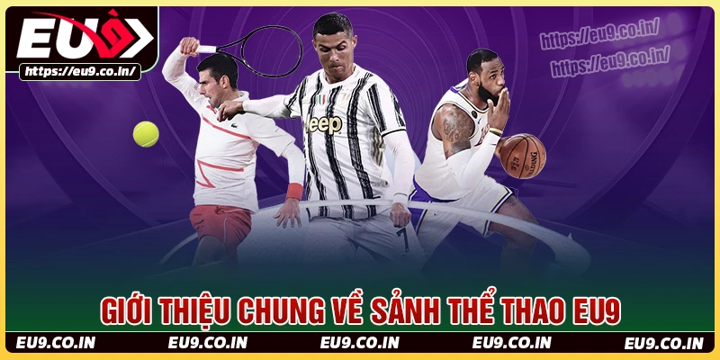 Giới thiệu chung về sảnh thể thao eu9